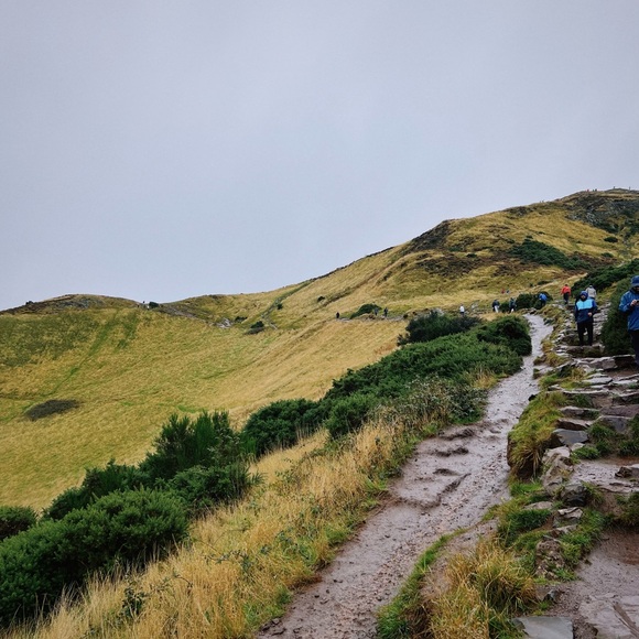 Like to be notified when I go live - Picture 4 of 10